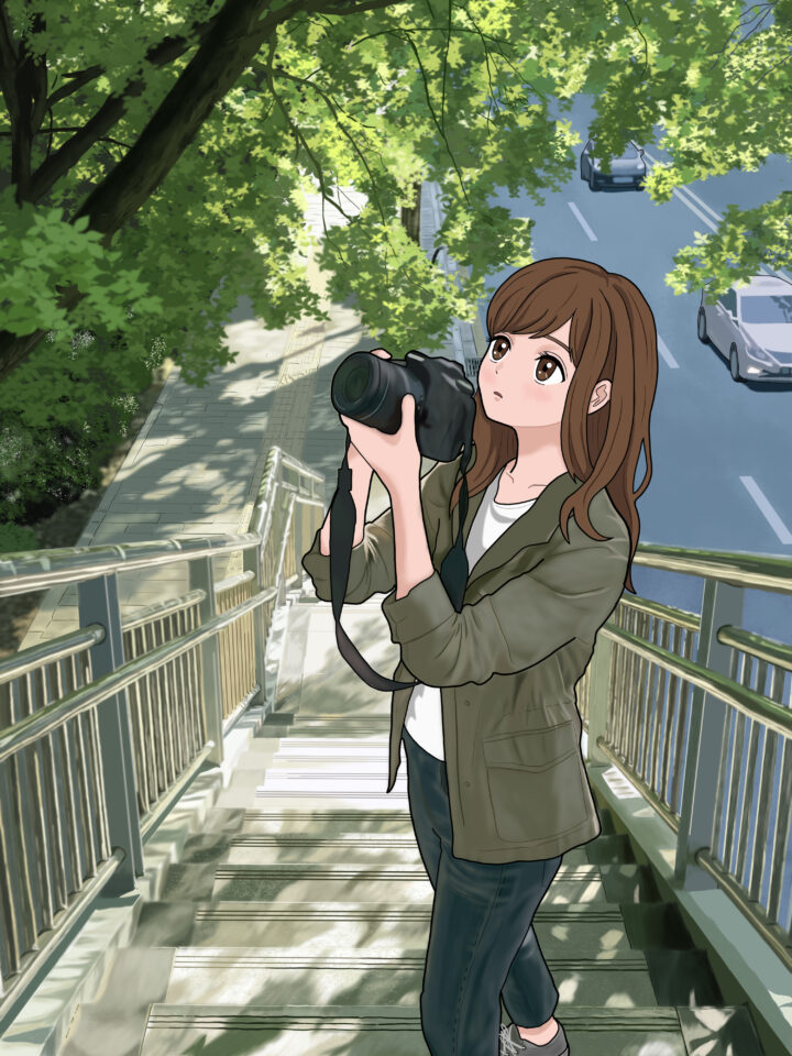 木漏れ日のフレーミング