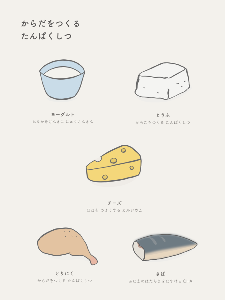 血や肉をつくる食べ物｜赤色のグループ（たんぱく質）