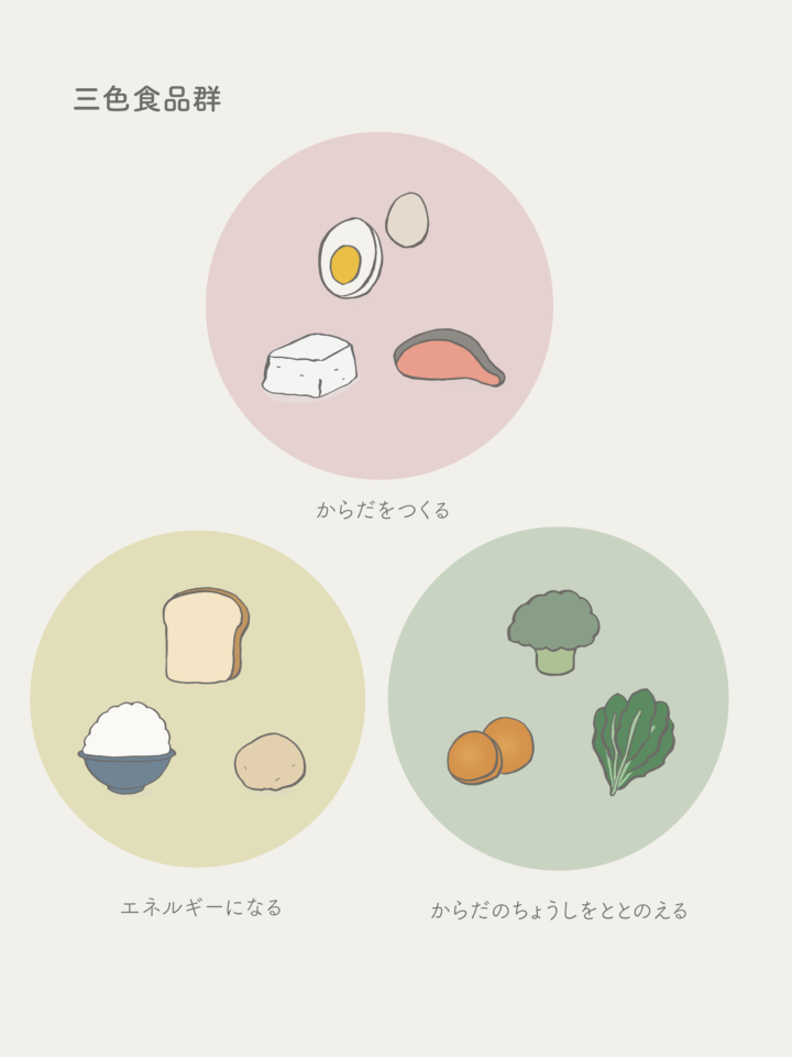 三色食品群の分類図