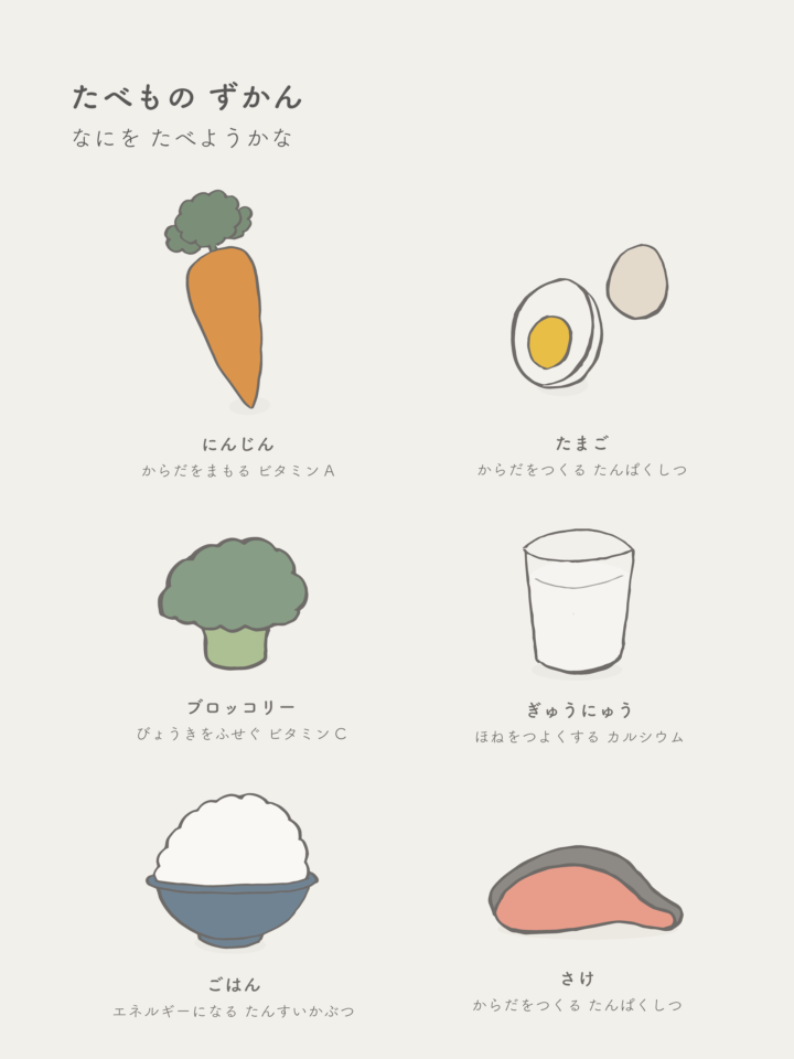 知育カードシリーズ